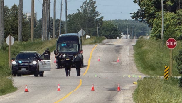 6th person dead in hospital after fatal collision in Mapleton, Ont.: OPP