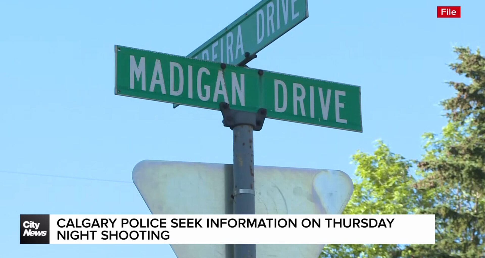 Calgary Police seek information on Thursday night shooting