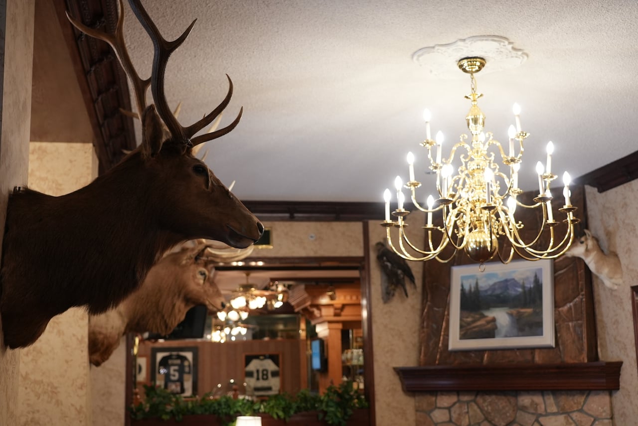 Taxidermy antlered mammal on wall next to chandellier.