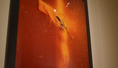 N.B. gallery aims to spark debate with photo of urine-soaked crucifix