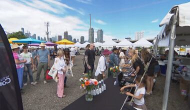 City of Toronto celebrates National Indigenous Peoples Month with weekend events