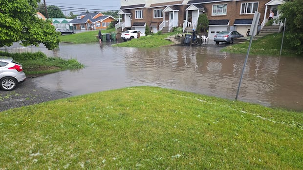 Proposed class actions target City of Montreal, West Island suburbs, after floods