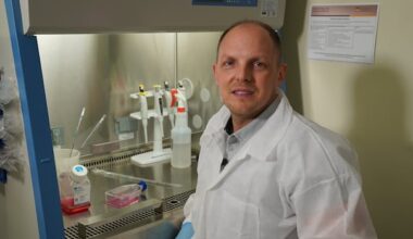 National Microbiology Lab seeks new leader again