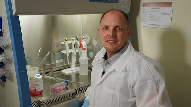 National Microbiology Lab seeks new leader again