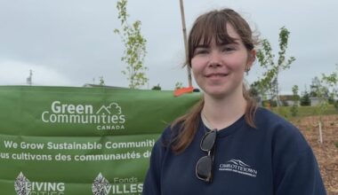 Charlottetown park gets hundreds of trees thanks to community greening event