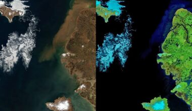 Signs of Thaw in the Bering Sea
