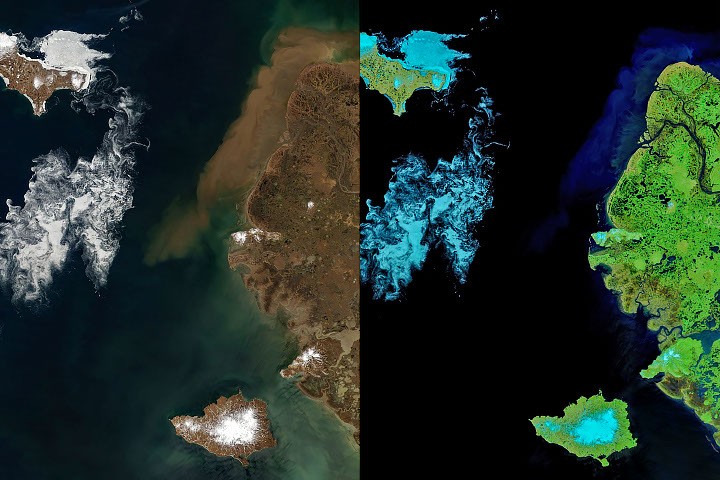 Signs of Thaw in the Bering Sea