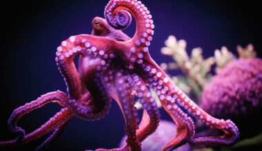 How Biology Inspired A Former Surgeon To Rethink Robotics
