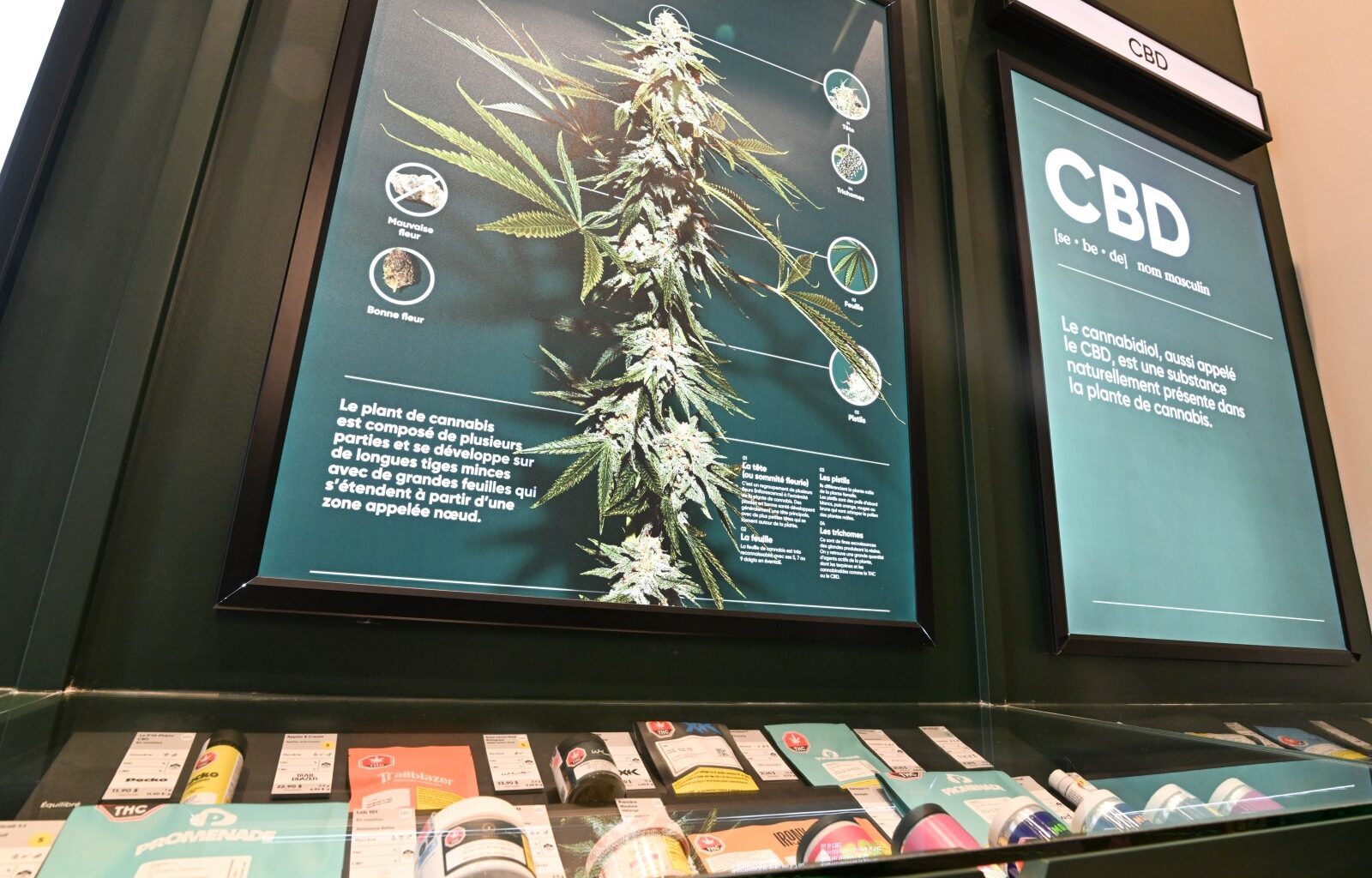 National cannabis lobby group suspends operations, citing black market – Winnipeg Free Press