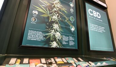 National cannabis lobby group suspends operations, citing black market – Winnipeg Free Press