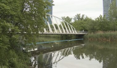 Cleanup efforts underway after diesel spill in Mimico Creek, city says