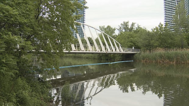 Cleanup efforts underway after diesel spill in Mimico Creek, city says