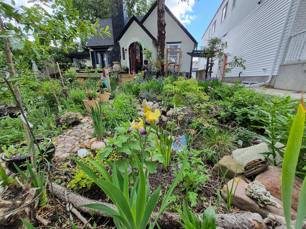 Plants litter the front lawn of an Edmonton home.