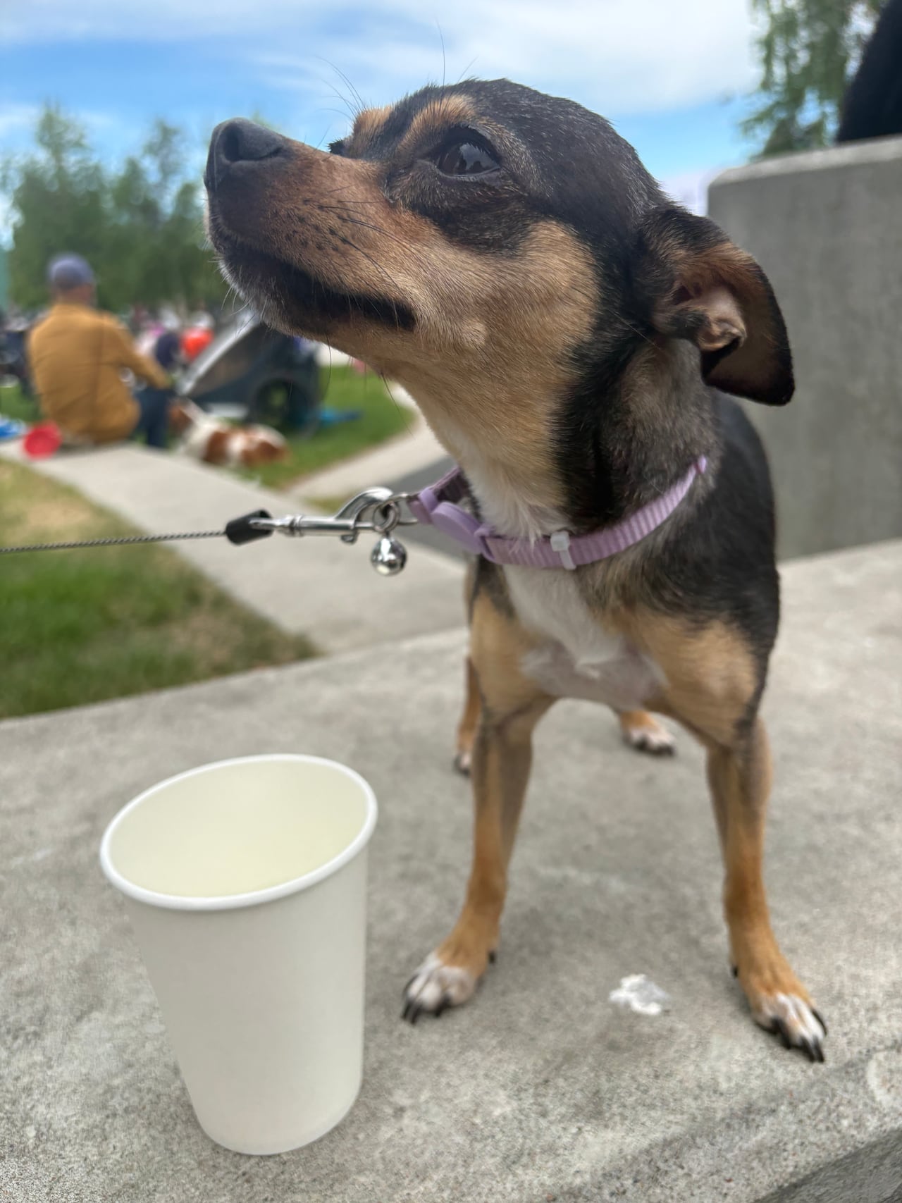 Coco, 2, would have preferred some of the fish supplied by the North Slave Métis Alliance, but a cold cup of water as the sun came out in Somba K'e Park on Indigenous Peoples Day was an almost-adequate substitute.
