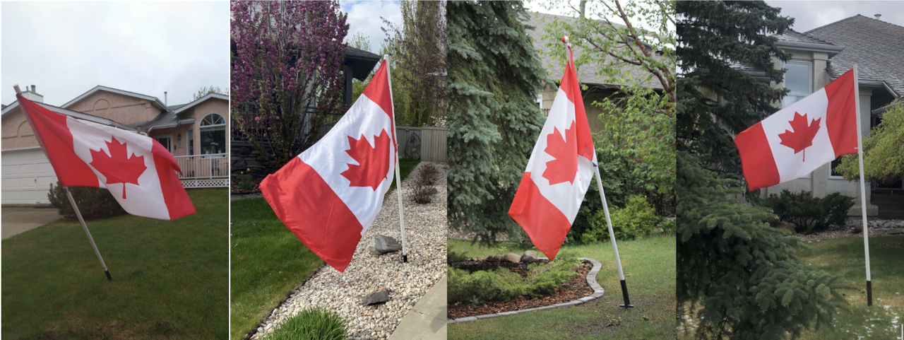 Side by side photos of Canadian flags planted in several lawns