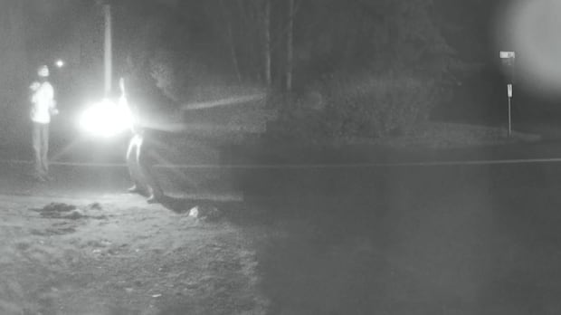 Surrey extortionist told police Bishnoi contractor paid $3K for fiery attack