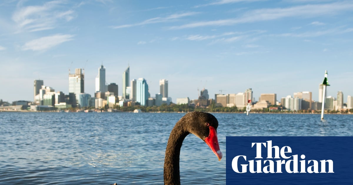 Tasmanian devils, swift parrots, black swans: the animals at risk if bird flu takes off in Australia | Australia news