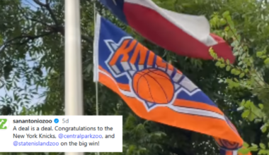 San Antonio Zoo raises Knicks flag after losing bet: 'A deal is a deal'