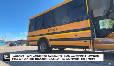 ‘Caught on camera:’ Calgary bus company owner fed up after brazen catalytic converter theft in city’s NE
