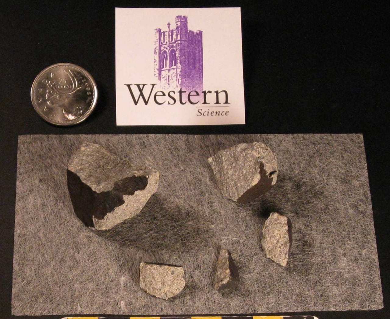 Photo of meteorites.