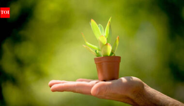For how long will the Earth stay ‘green’? New scientific model finally has a definite answer |