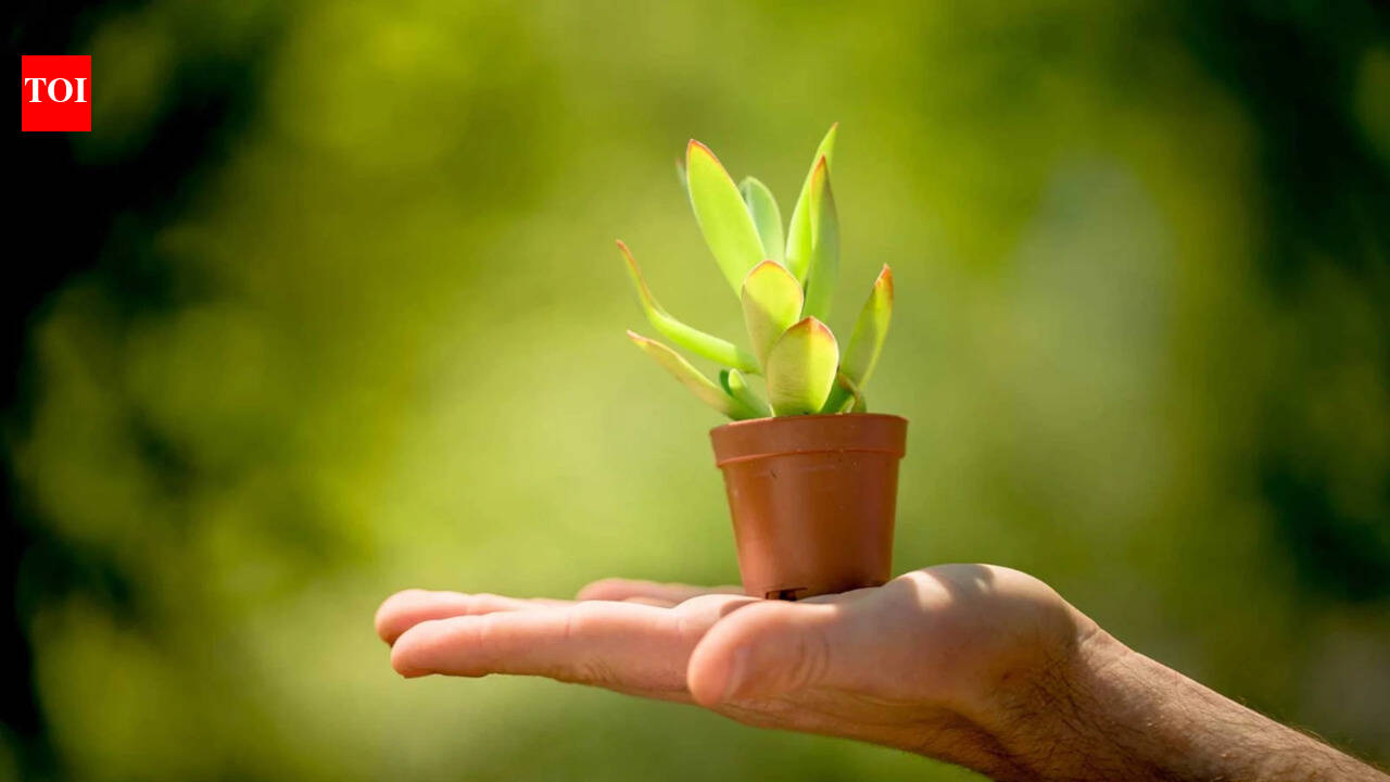 For how long will the Earth stay ‘green’? New scientific model finally has a definite answer |