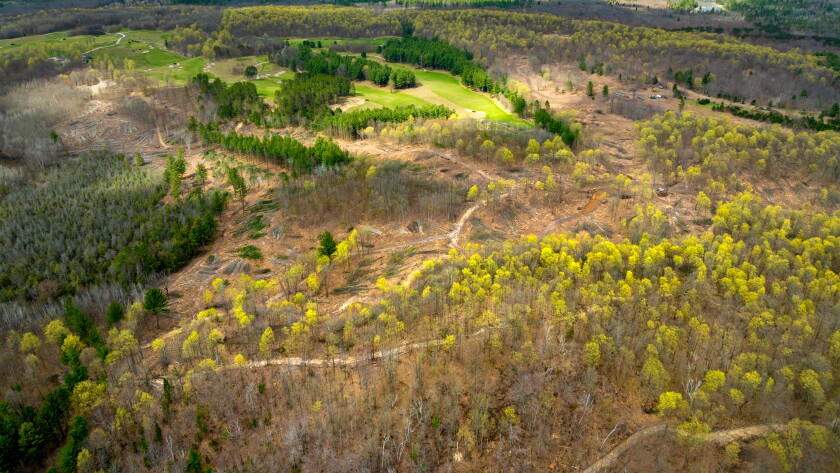 Kingsley Club_New Course Clearing.jpg
