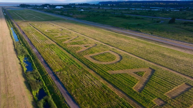 Go Canada YVR message