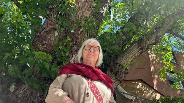 Community rallies to save 150-year-old Parkdale tree from possible development