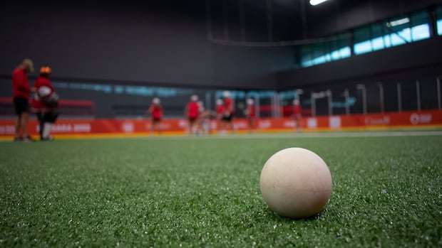 League wants to keep Ottawa Black Bears lacrosse team in Ottawa-Gatineau
