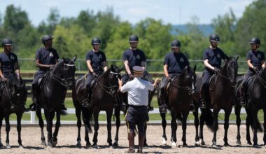 RCMP Musical Ride training session at the stables – CTVNews