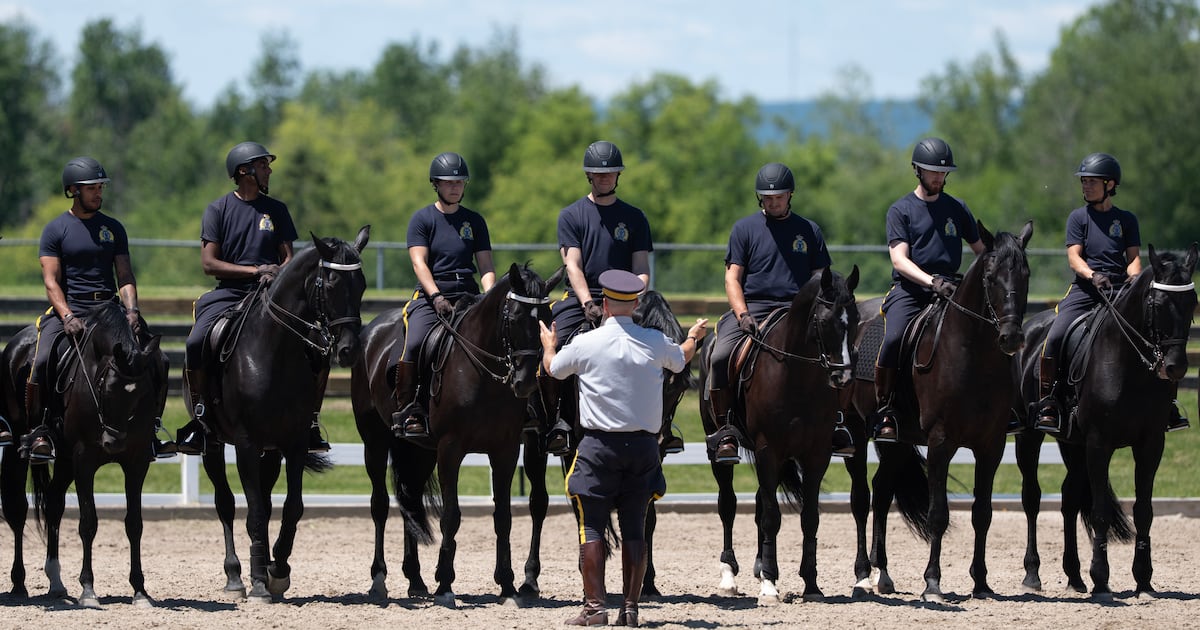 RCMP Musical Ride training session at the stables – CTVNews