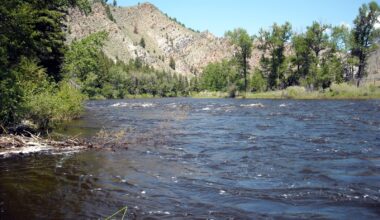 Montana DEQ works toward impairment designation for Big Hole River – Winnipeg Free Press