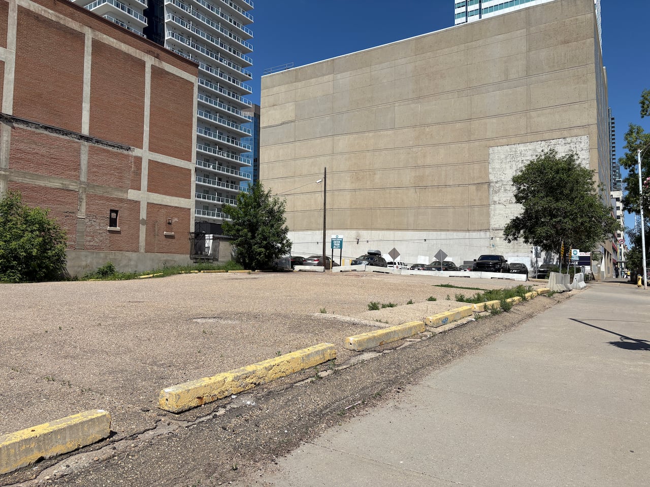 Parking lot with concrete curbs in a line.