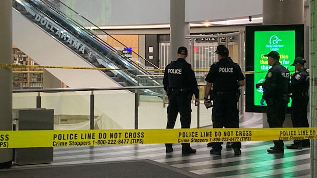 Man dead in industrial accident at North York shopping centre, police say