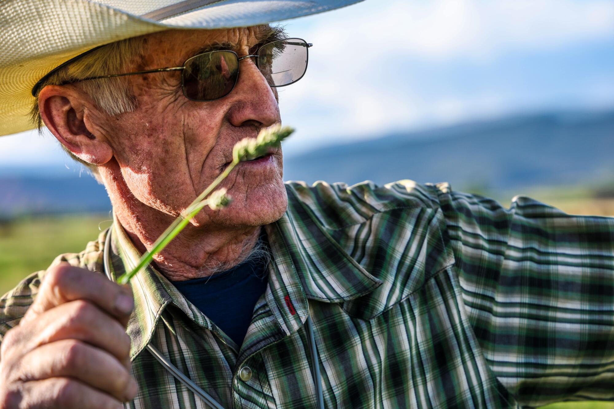 Rancher Bill Fales 
