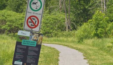 Orléans park reopening following coyote attack