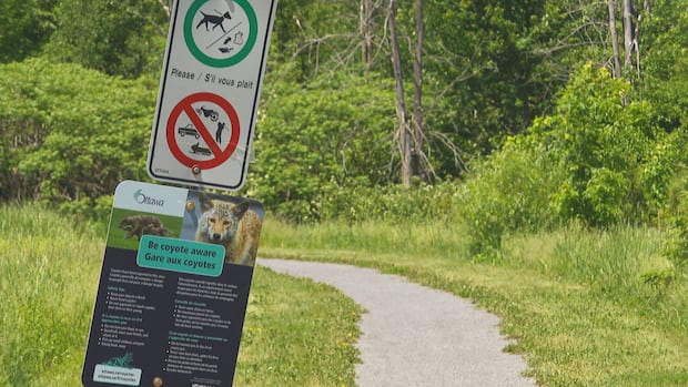 Orléans park reopening following coyote attack