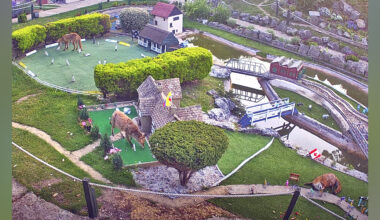 CCTV Captures Foxes Turning Model Village Into Their Personal Playground