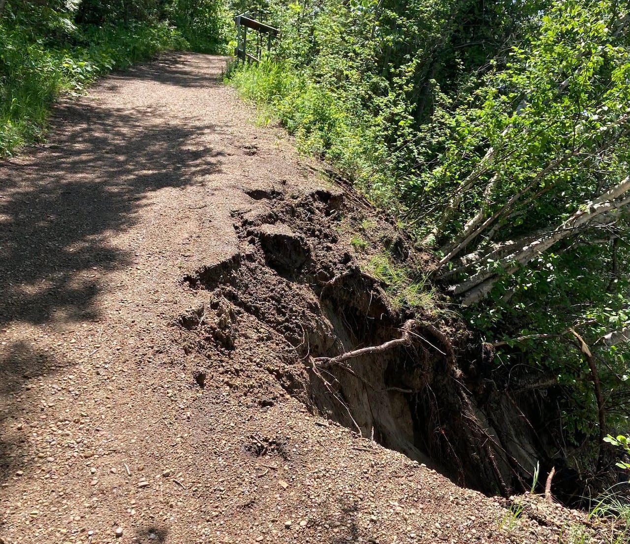 A trail surrounded by forest has collapsed in a section.