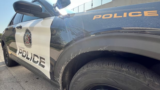 Man hit by truck after running into traffic with stolen purse: Calgary police