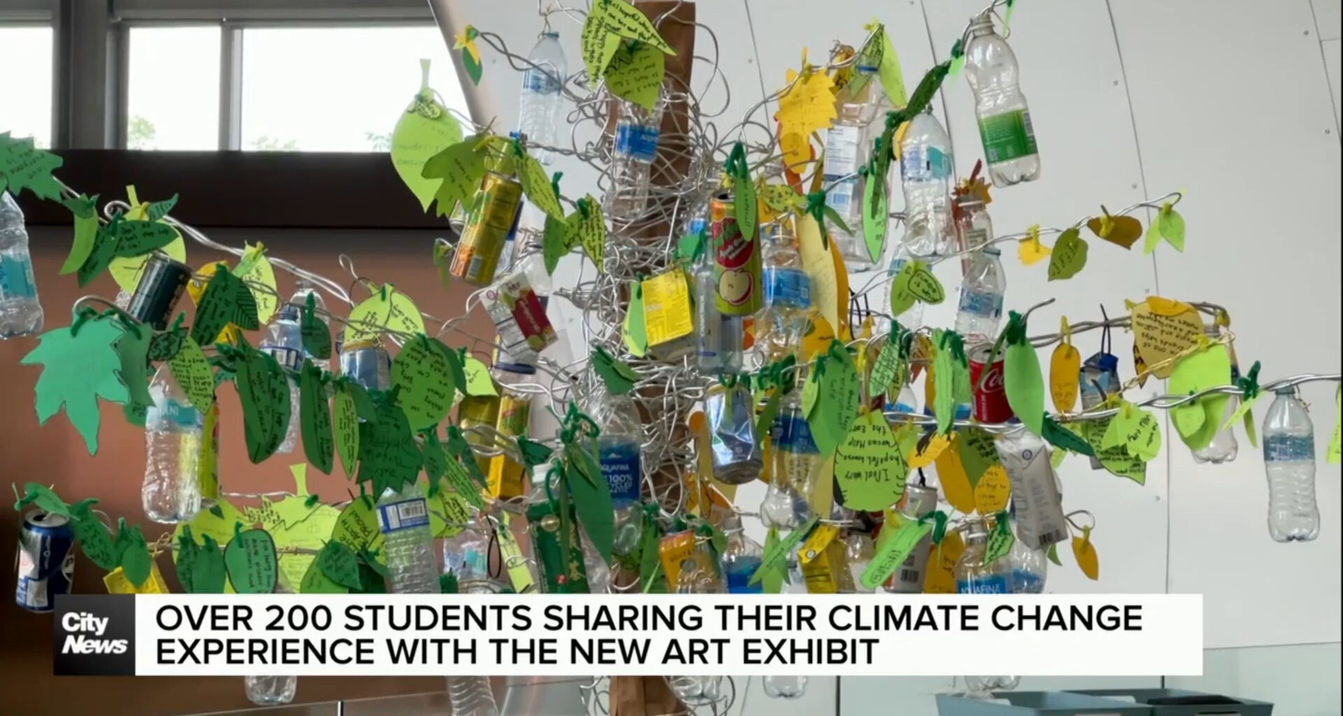 Edmonton students sharing their climate change experience through tree art exhibit
