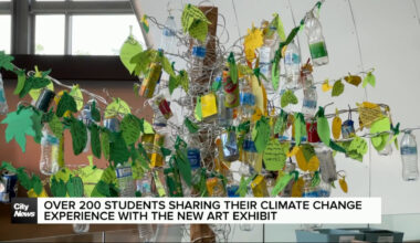 Edmonton students sharing their climate change experience through tree art exhibit