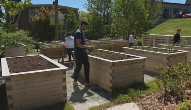 The Gathering Place opens new accessible garden, aiming to connect the community