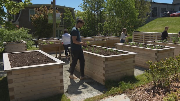 The Gathering Place opens new accessible garden, aiming to connect the community