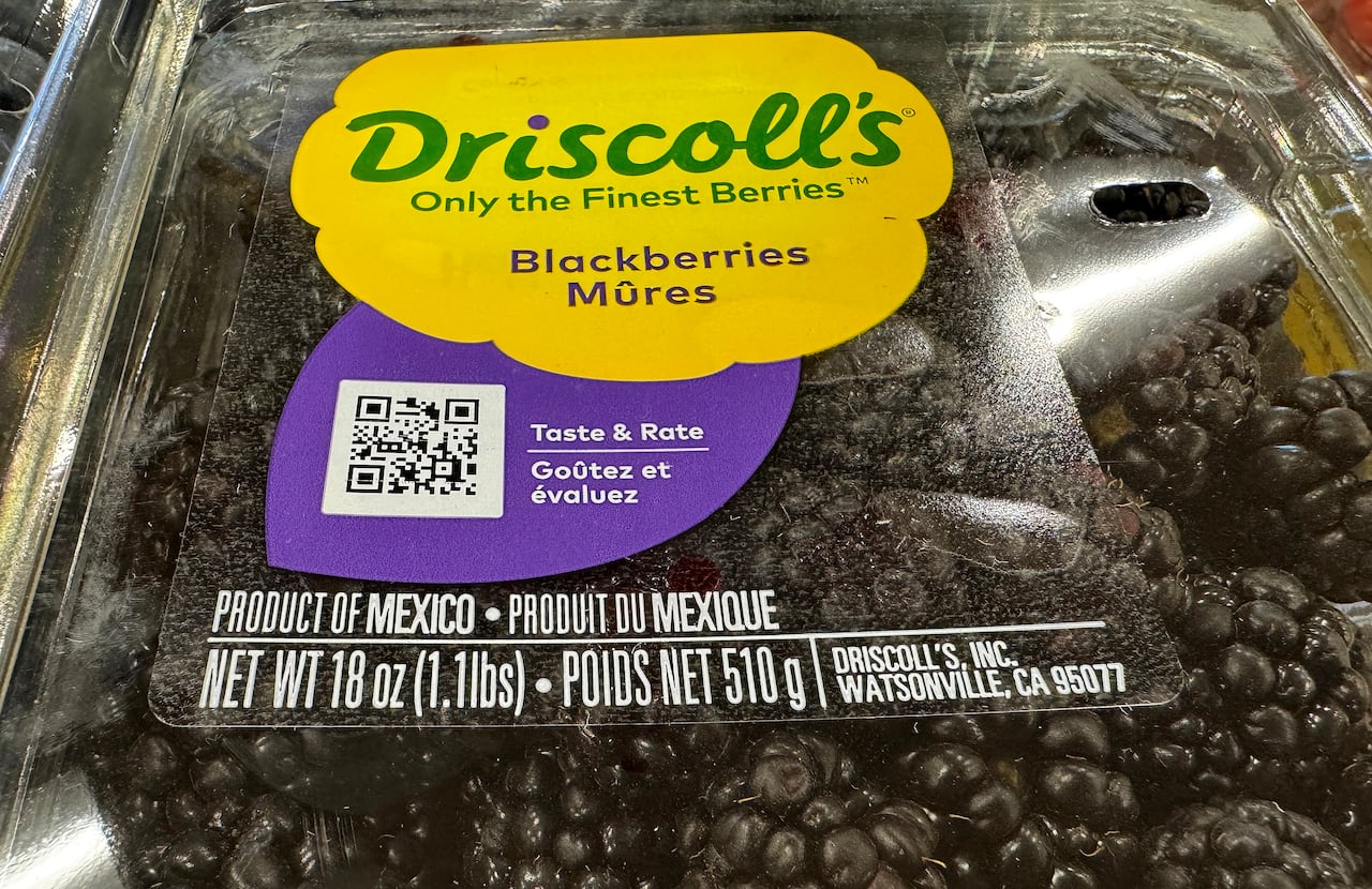 A package of blackberries. The packaging says Driscolls, made in Mexico.