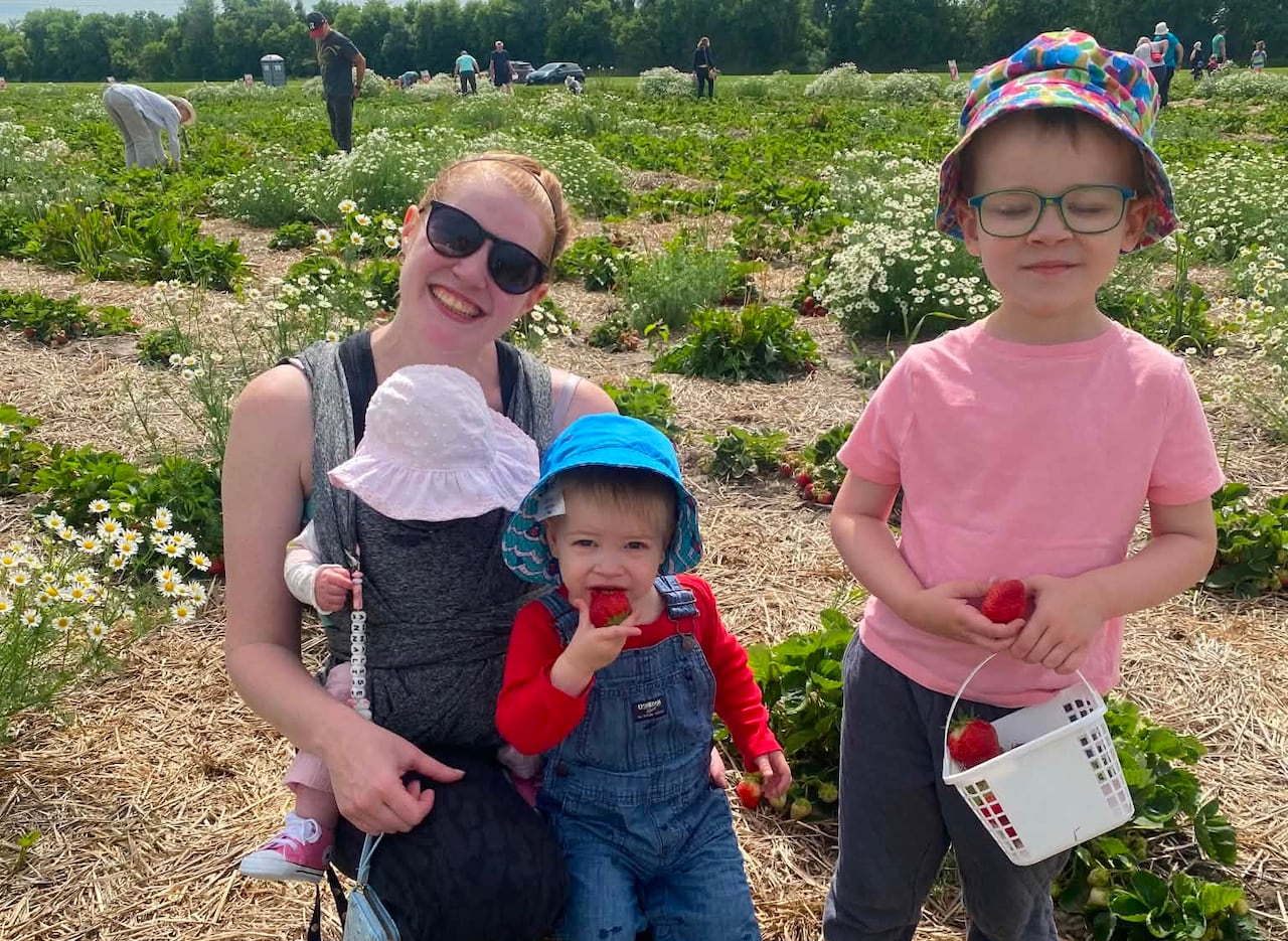 A woman and three children squat in a strawberry field