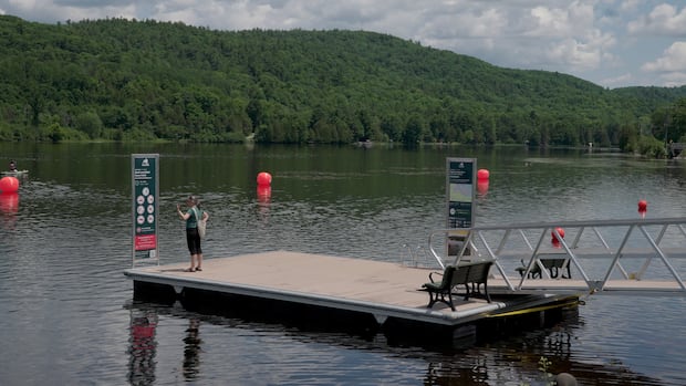 Chelsea's new swimming hole comes with a long list of rules