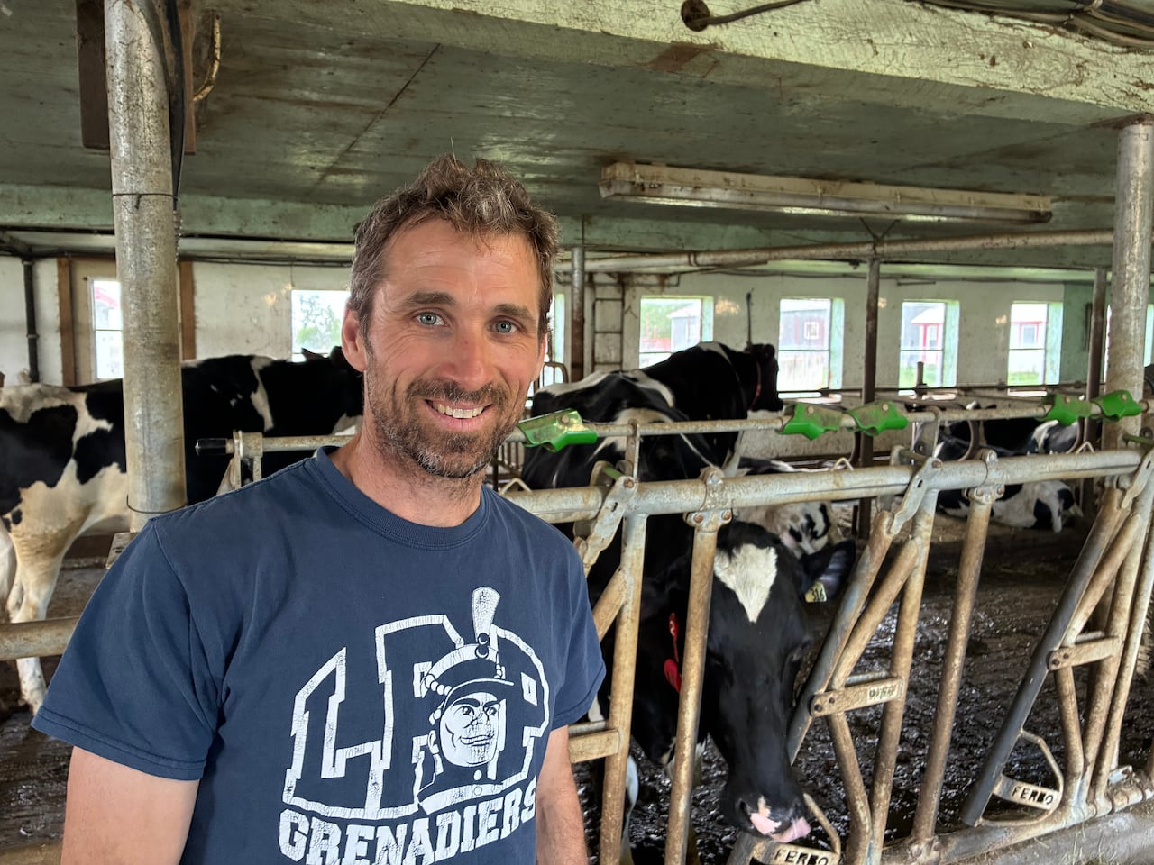 Nicolas Montcalm stands in his farm , in front of a cow.