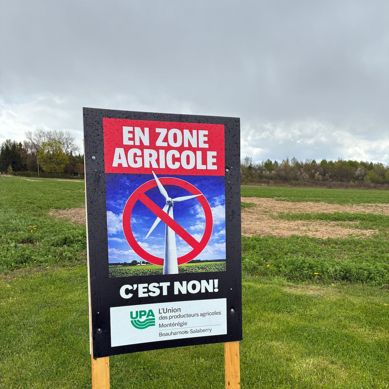 A sign on a farmer's lawn that says no wind energy on agricultural land.